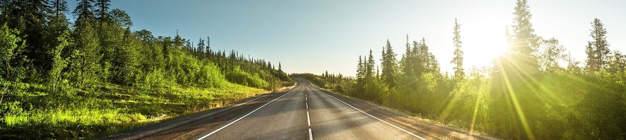 Road surrounded by trees with sunrise