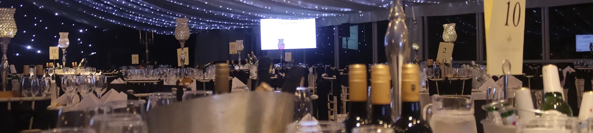 Charity gala ball